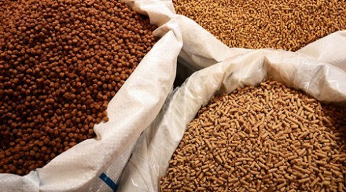 Nguyên liệu sản xuất thức ăn chăn nuôi - Công Ty TNHH Đầu Tư Và Phát Triển Phương Đông